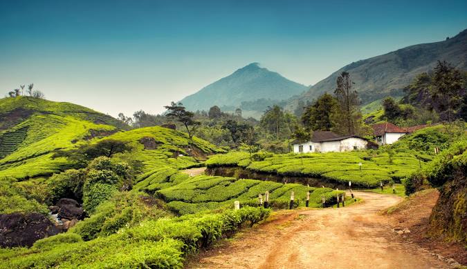 Kerala Tour